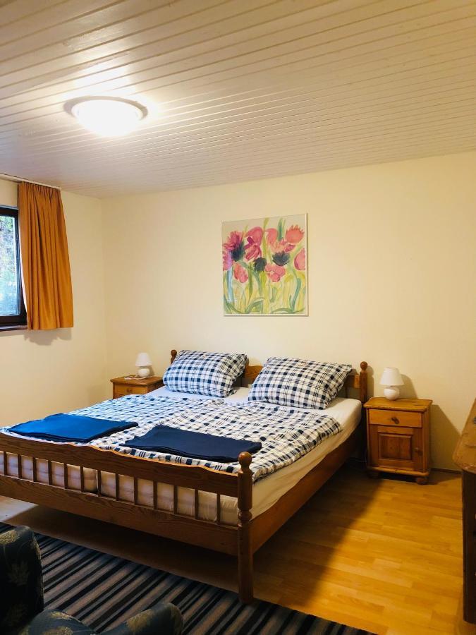 Haus Hubertus Apartman Willingen  Kültér fotó
