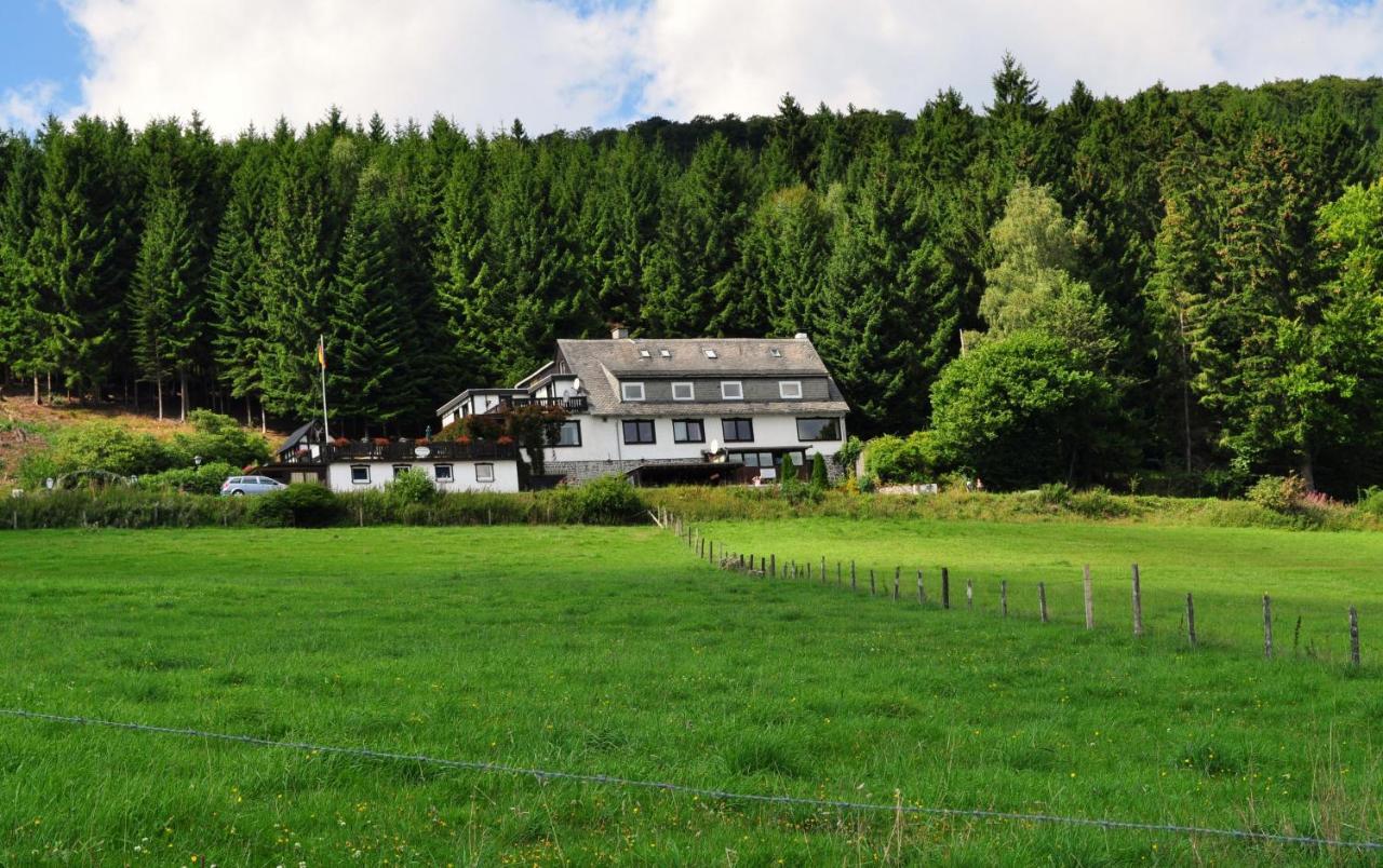Haus Hubertus Apartman Willingen  Kültér fotó