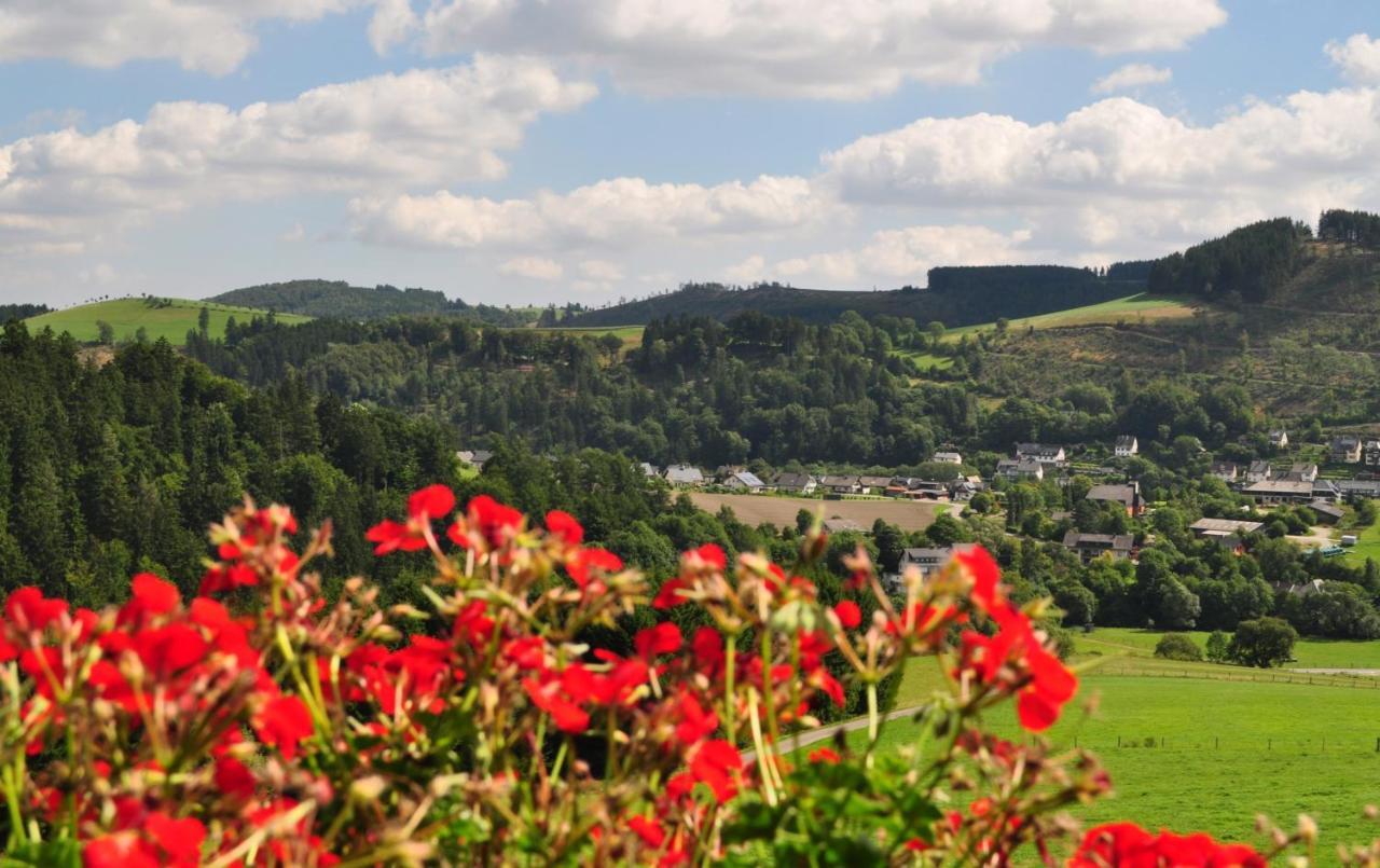 Haus Hubertus Apartman Willingen  Kültér fotó